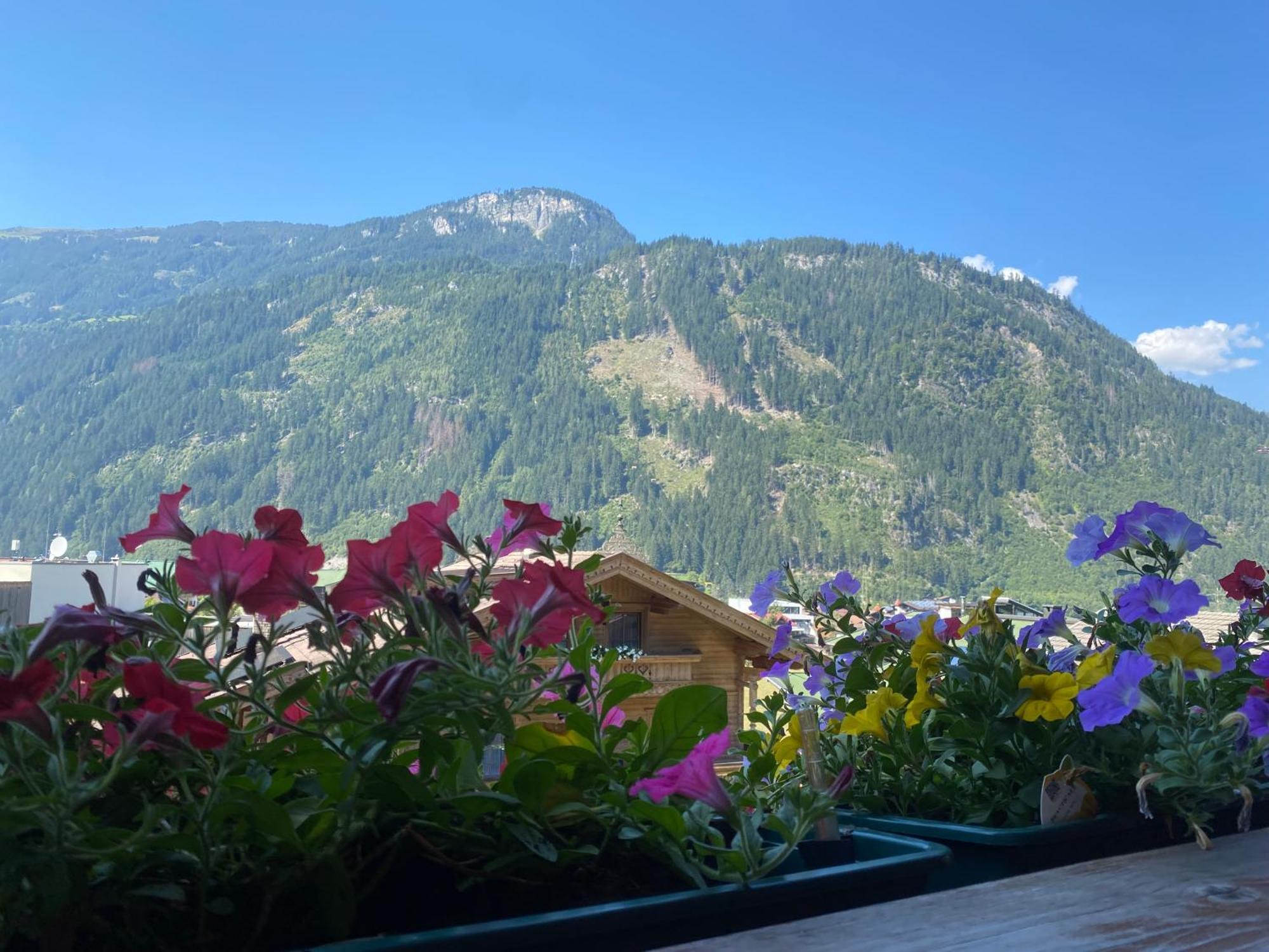 Pension Schwemberger Ohne Fruehstueck Mayrhofen Dış mekan fotoğraf